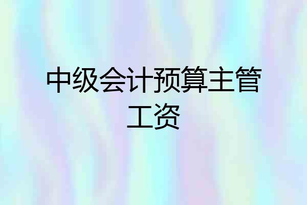 中级会计预算主管工资