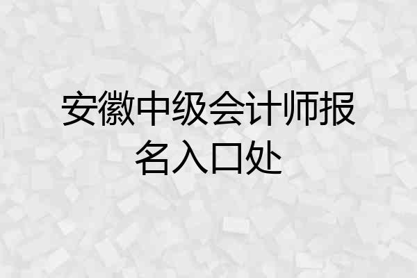 安徽中级会计师报名入口处
