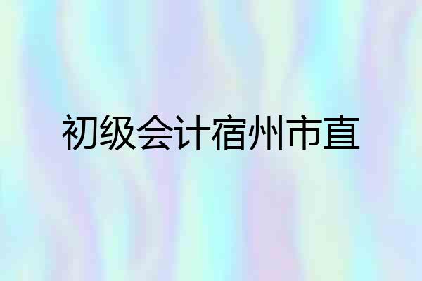初级会计宿州市直