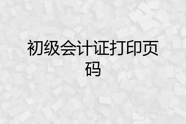 初级会计证打印页码