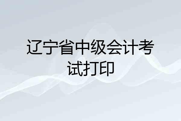 辽宁省中级会计考试打印