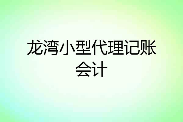 龙湾小型代理记账会计