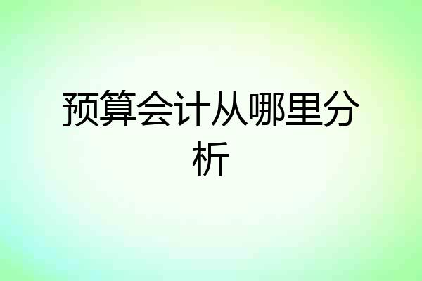 预算会计从哪里分析