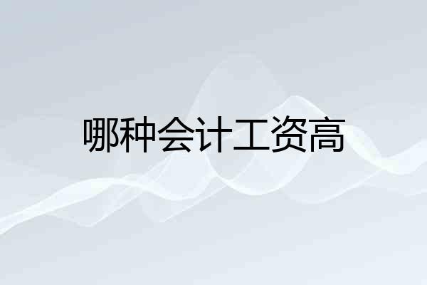 哪种会计工资高