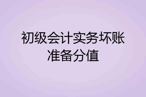 初级会计实务坏账准备分值
