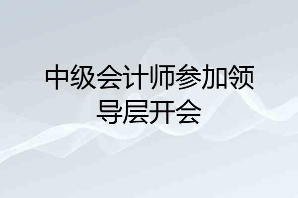 中级会计师参加领导层开会