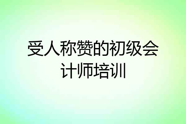 受人称赞的初级会计师培训