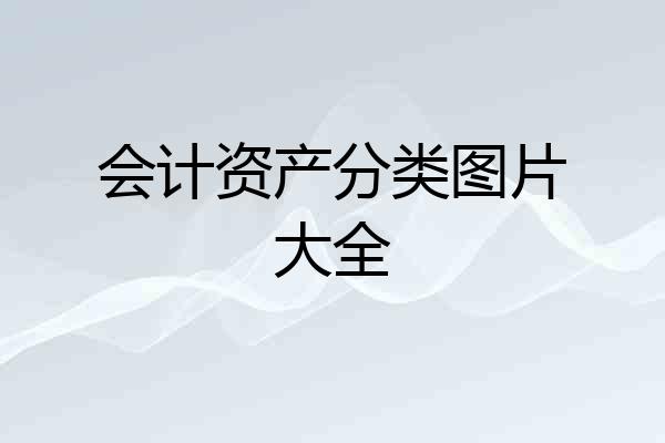 会计资产分类图片大全