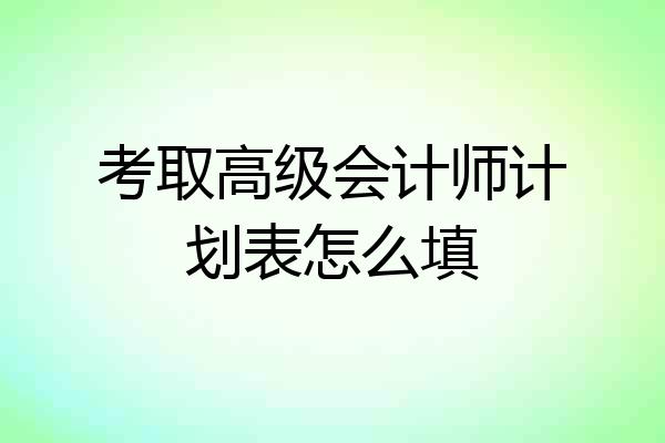 考取高级会计师计划表怎么填