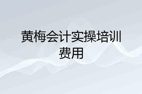 黄梅会计实操培训费用