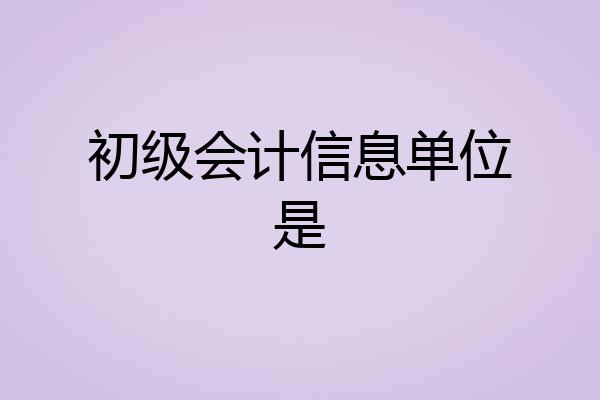 初级会计信息单位是