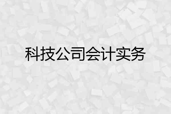 科技公司会计实务