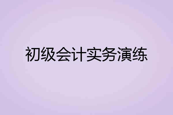 初级会计实务演练