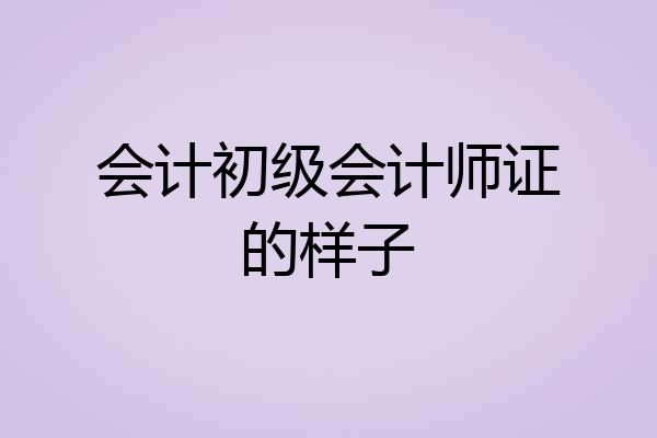 会计初级会计师证的样子