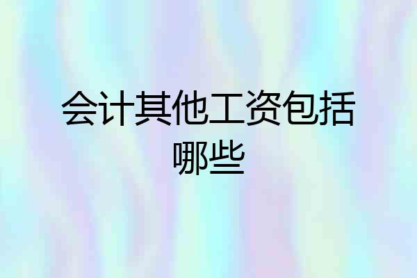 会计其他工资包括哪些