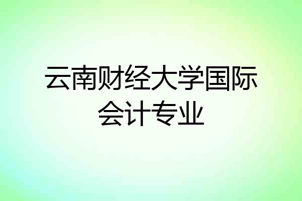 云南财经大学国际会计专业