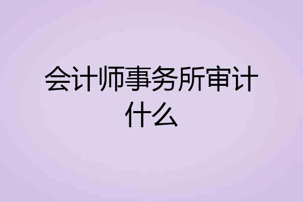 会计师事务所审计什么