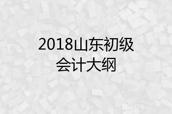 2018山东初级会计大纲