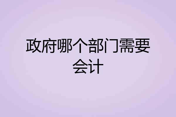 政府哪个部门需要会计