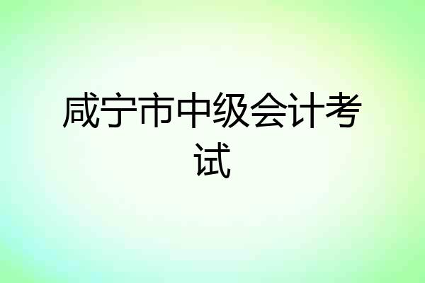 咸宁市中级会计考试
