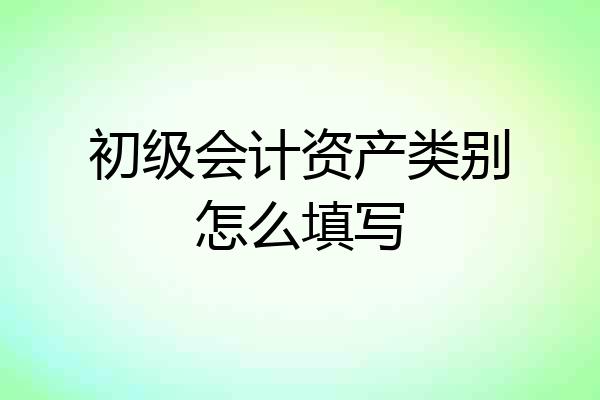 初级会计资产类别怎么填写