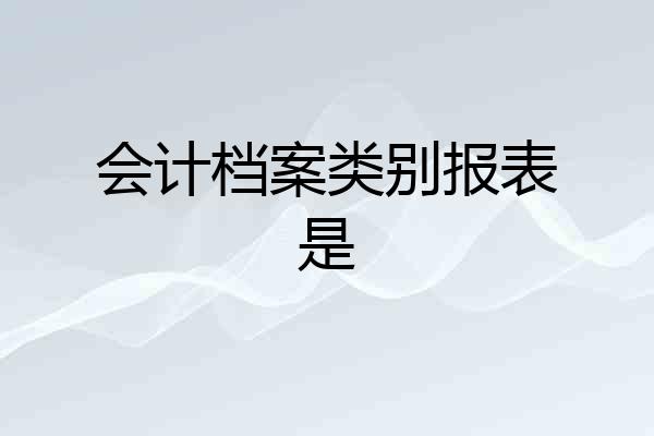 会计档案类别报表是