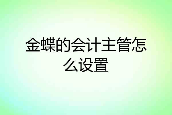 金蝶的会计主管怎么设置