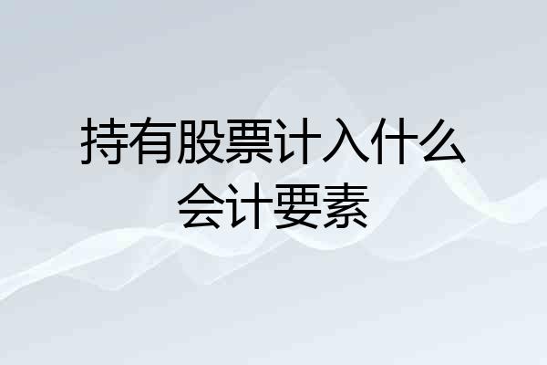 持有股票计入什么会计要素