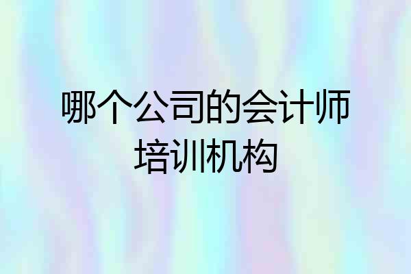 哪个公司的会计师培训机构