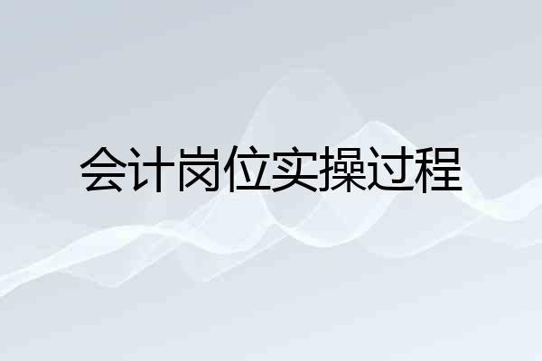 会计岗位实操过程