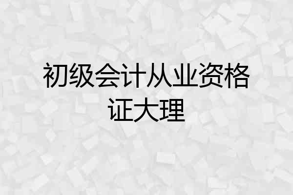 初级会计从业资格证大理