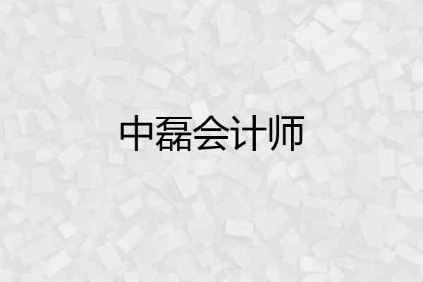 中磊会计师