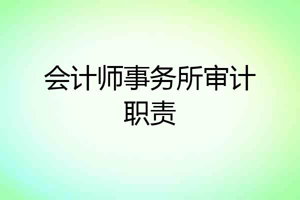 会计师事务所审计职责