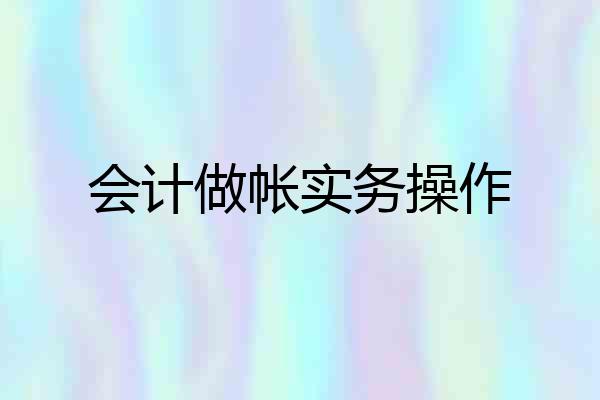 会计做帐实务操作