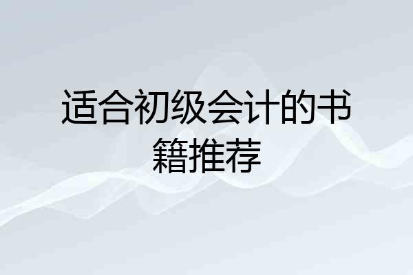 适合初级会计的书籍推荐