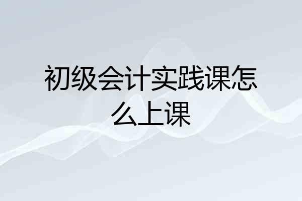 初级会计实践课怎么上课