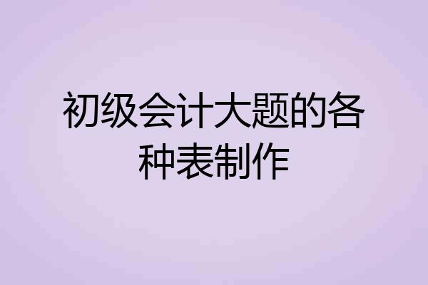 初级会计大题的各种表制作