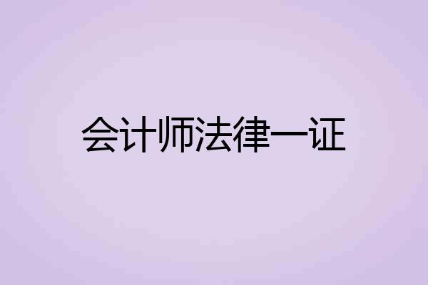 会计师法律一证