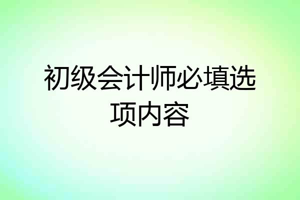 初级会计师必填选项内容