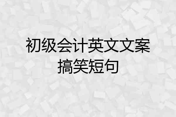 初级会计英文文案搞笑短句