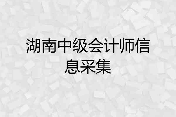 湖南中级会计师信息采集
