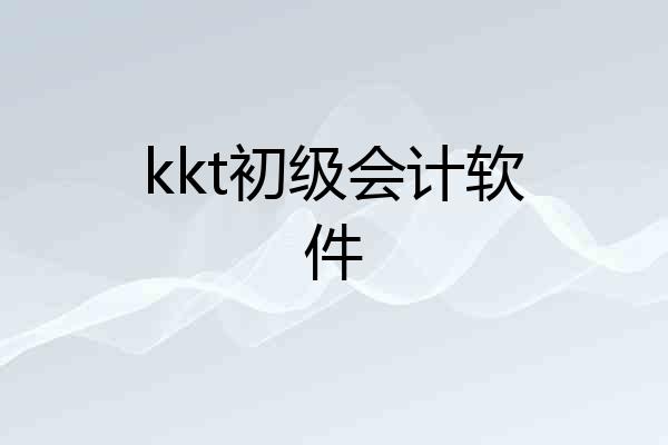 kkt初级会计软件