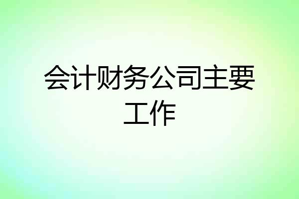 会计财务公司主要工作