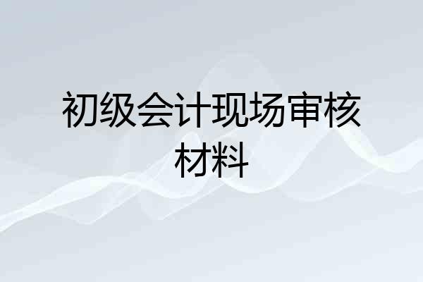 初级会计现场审核材料