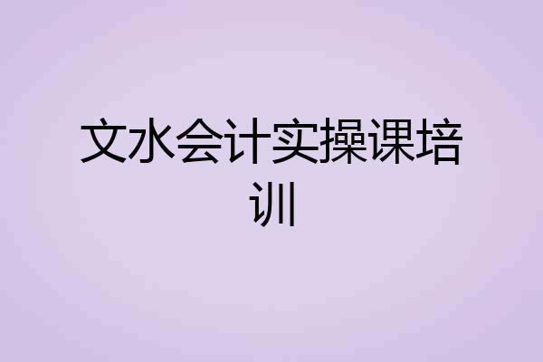 文水会计实操课培训