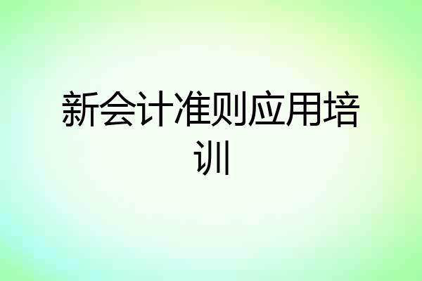 新会计准则应用培训