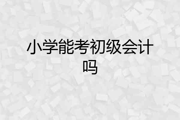 小学能考初级会计吗