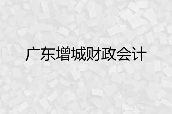 广东增城财政会计