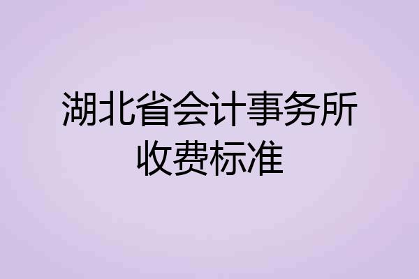 湖北省会计事务所收费标准
