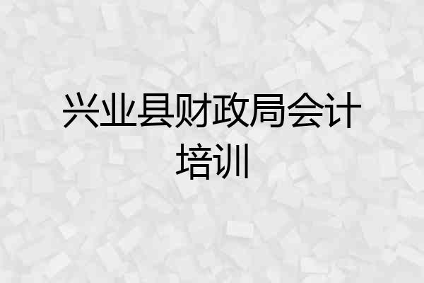 兴业县财政局会计培训